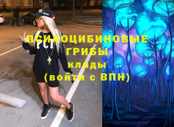 мдпв Карпинск
