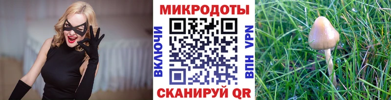 kraken рабочий сайт  Кораблино  Галлюциногенные грибы Psilocybe 
